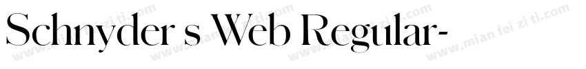 Schnyder s Web Regular字体转换
